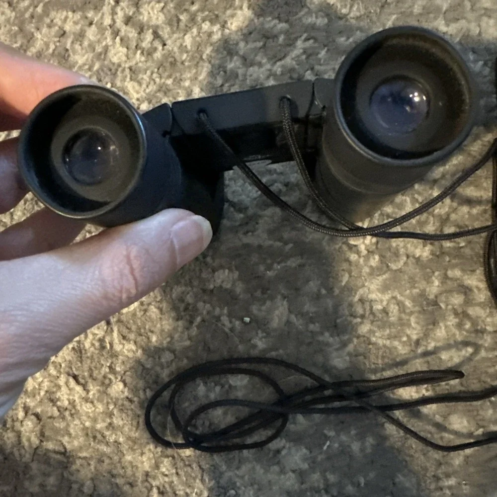 Vintage Minolta Pocket 8x22 8.2 Wide Angle Multi-Coated Binoculars